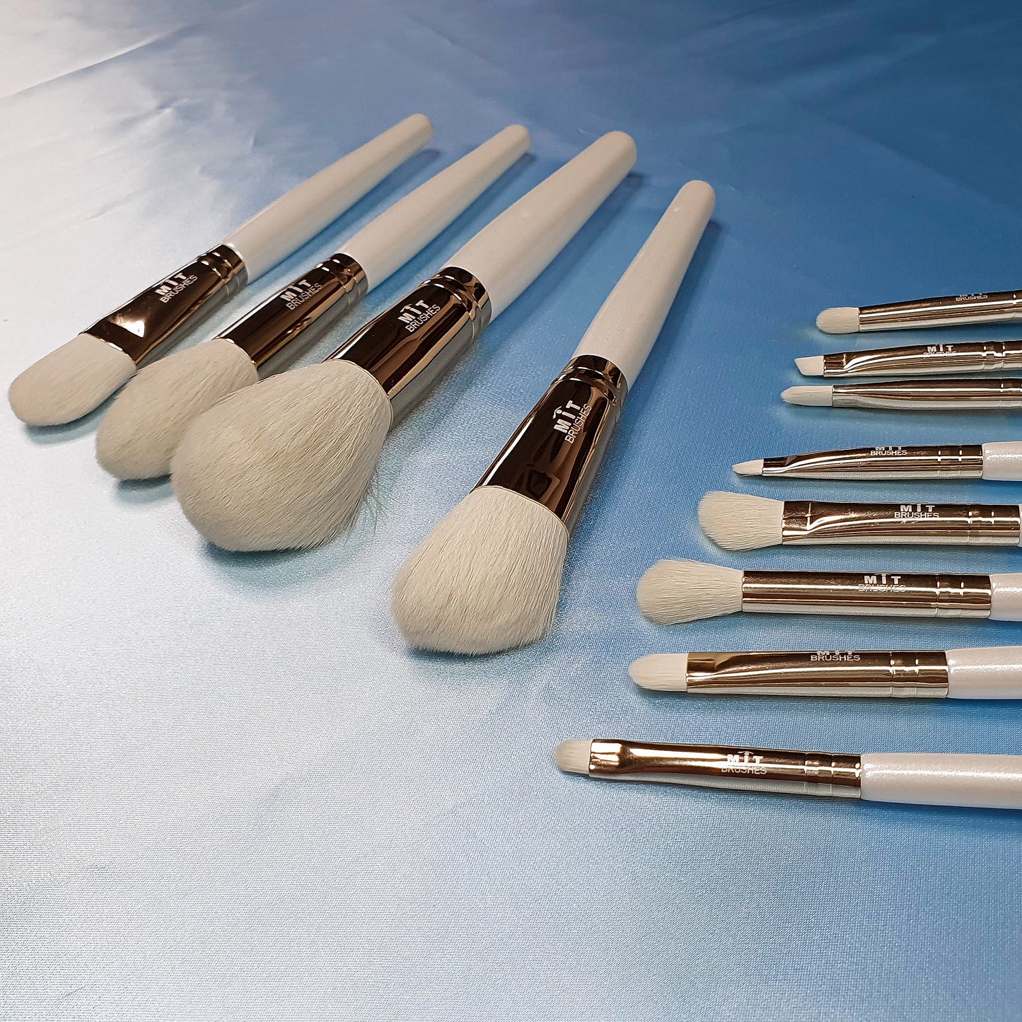 MiT 11pcs Makeup Brush Set